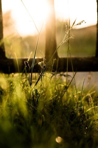 Обои свет, трава, природа, забор, light, grass, nature, the fence разрешение 2048x1264 Загрузить