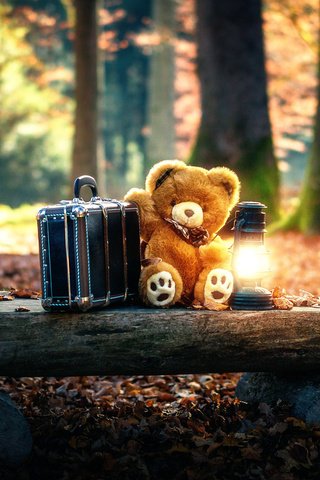 Обои лес, мишка, игрушка, фонарь, чемодан, forest, bear, toy, lantern, suitcase разрешение 1920x1200 Загрузить