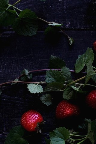 Обои листья, ветки, клубника, ягоды, деревянная поверхность, leaves, branches, strawberry, berries, wooden surface разрешение 2048x1409 Загрузить