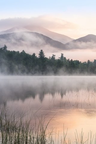 Обои деревья, озеро, горы, отражение, утро, туман, trees, lake, mountains, reflection, morning, fog разрешение 2048x1367 Загрузить