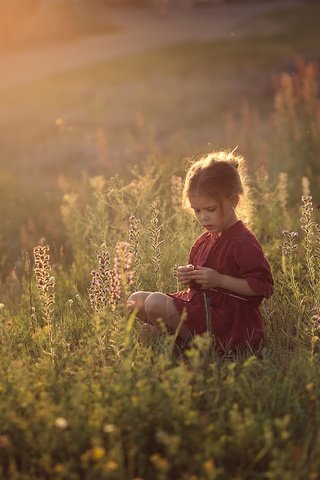 Обои трава, поле, дети, девочка, ребенок, детство, полевые цветы, darya stepanova, grass, field, children, girl, child, childhood, wildflowers разрешение 2588x1725 Загрузить