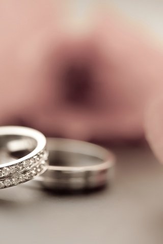 Обои лепестки, кольцо, украшение, блюр, petals, ring, decoration, blur разрешение 2560x1600 Загрузить