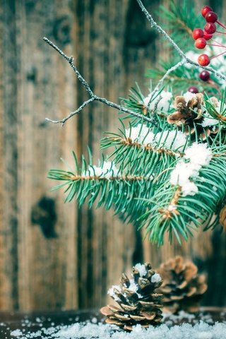Обои новый год, елка, ветки, корзина, рождество, шишки, new year, tree, branches, basket, christmas, bumps разрешение 1920x1200 Загрузить