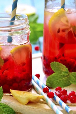 Обои мята, напиток, лимон, ягоды, смородина, сок, лимонад, mint, drink, lemon, berries, currants, juice, lemonade разрешение 1920x1200 Загрузить