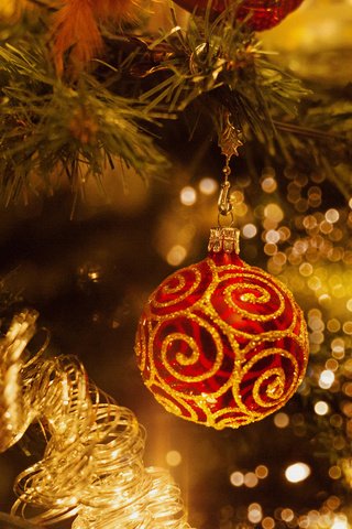 Обои новый год, елка, шар, рождество, елочные украшения, elena krauze, new year, tree, ball, christmas, christmas decorations разрешение 1920x1200 Загрузить