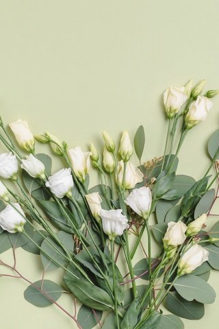 Обои цветы, фон, букет, эустома, лизиантус, flowers, background, bouquet, eustoma разрешение 4912x4610 Загрузить