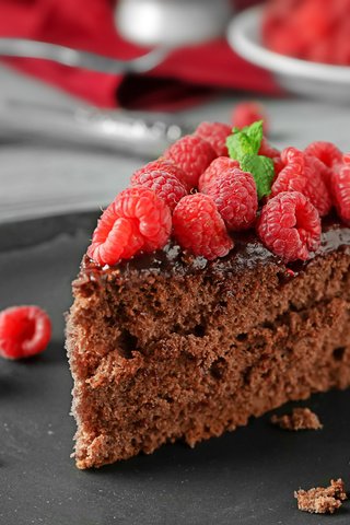 Обои малина, ягоды, шоколад, сладкое, торт, десерт, пирожное, кусочек, raspberry, berries, chocolate, sweet, cake, dessert, piece разрешение 5760x3840 Загрузить