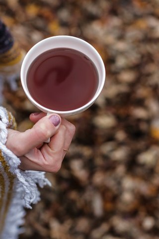 Обои напиток, осень, руки, чашка, чай, drink, autumn, hands, cup, tea разрешение 4935x3290 Загрузить