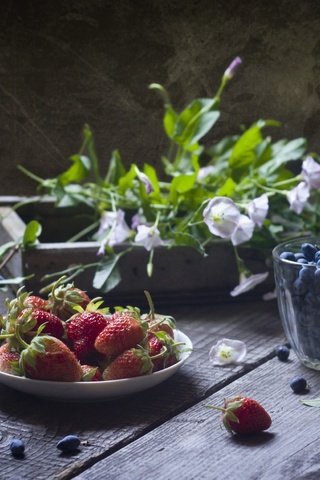 Обои цветы, клубника, ягоды, черника, натюрморт, деревянная поверхность, flowers, strawberry, berries, blueberries, still life, wooden surface разрешение 2500x1640 Загрузить