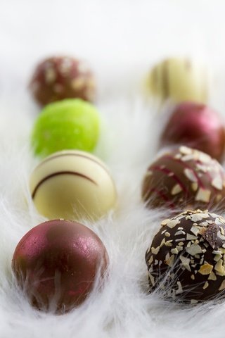 Обои конфеты, шоколад, конфета, в шоколаде, шоколадные конфеты, пралине, candy, chocolate, chocolates разрешение 5184x3456 Загрузить