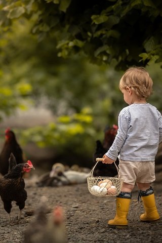 Обои мальчик, яйца, боке, курицы, boy, eggs, bokeh, chicken разрешение 2048x1365 Загрузить