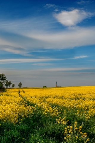 Обои небо, даль, цветы, весна, облака, церковь, синева, деревья, желтые, пейзаж, колея, поле, рапс, лето, тропинка, the sky, dal, flowers, spring, church, clouds, blue, trees, yellow, landscape, track, field, rape, summer, path разрешение 3840x2160 Загрузить