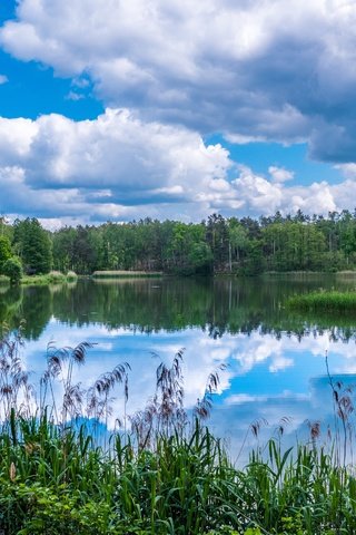 Обои облака, деревья, озеро, природа, лес, отражение, clouds, trees, lake, nature, forest, reflection разрешение 5420x3049 Загрузить