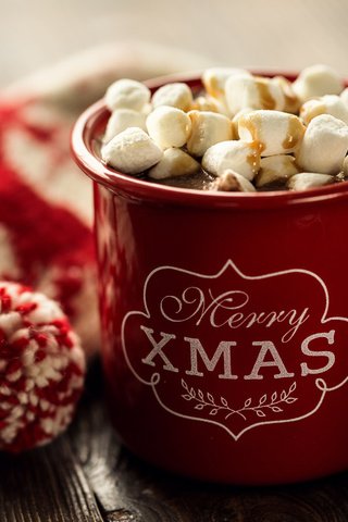Обои новый год, украшения, кружка, рождество, зефир, горячий шоколад, маршмеллоу, зефирки, new year, decoration, mug, christmas, marshmallows, hot chocolate разрешение 1920x1200 Загрузить