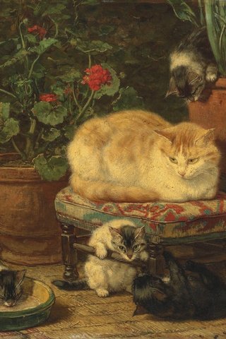 Обои кошка, масло, котята, cat, oil, kittens разрешение 3200x2342 Загрузить