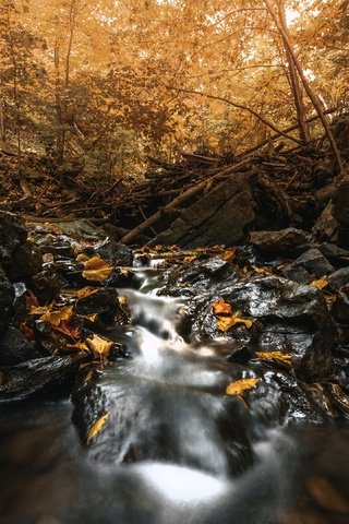 Обои река, природа, осень, river, nature, autumn разрешение 3840x2160 Загрузить