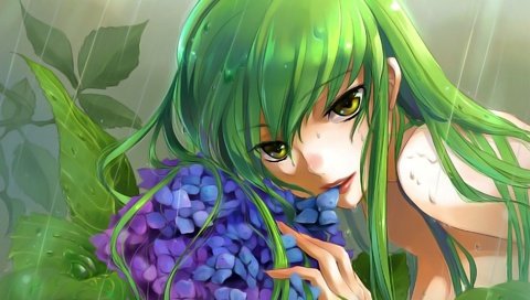 Обои цветы, девушка, дождь, волосы, cc, код гиасс, flowers, girl, rain, hair, code geass разрешение 1920x1200 Загрузить