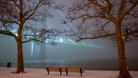 Обои деревья, огни, вечер, снег, парк, туман, мост, скамейки, trees, lights, the evening, snow, park, fog, bridge, benches разрешение 1920x1200 Загрузить