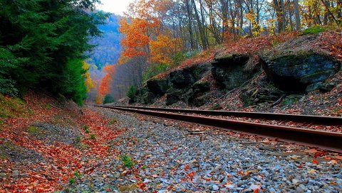 Обои дорога, лес, осень, железная, road, forest, autumn, iron разрешение 1920x1200 Загрузить