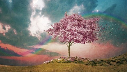 Обои небо, дерево, цветение, радуга, ветер, акварель, розовое дерево, фактура, the sky, tree, flowering, rainbow, the wind, watercolor, pink tree, texture разрешение 1920x1200 Загрузить