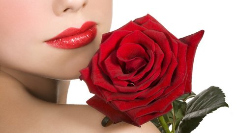 Обои девушка, роза, красная, губы, плечо, помада, girl, rose, red, lips, shoulder, lipstick разрешение 2560x1600 Загрузить