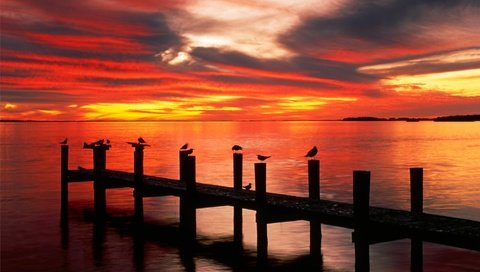 Обои озеро, закат, причал, чайки, lake, sunset, pier, seagulls разрешение 1999x1333 Загрузить