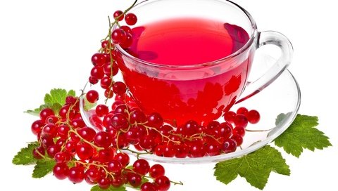 Обои красная, белый фон, чай, смородина, red, white background, tea, currants разрешение 1920x1200 Загрузить