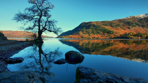 Обои озеро, холмы, дерево, камни, lake, hills, tree, stones разрешение 1920x1200 Загрузить