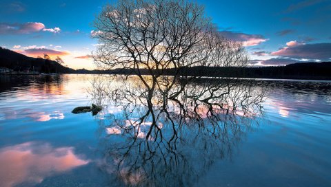 Обои деревья, озеро, лес, закат, отражение, trees, lake, forest, sunset, reflection разрешение 1920x1200 Загрузить