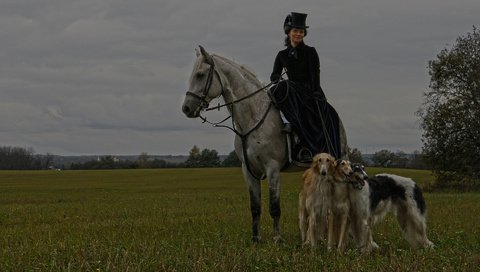 Обои лошадь, природа, костюм, шляпа, собаки, всадница, дама, horse, nature, costume, hat, dogs, rider, lady разрешение 1920x1200 Загрузить