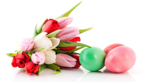 Обои красные, весна, тюльпаны, белые, пасха, тульпаны, букеты, зеленые пасхальные, red, spring, tulips, white, easter, bouquets разрешение 5903x3936 Загрузить