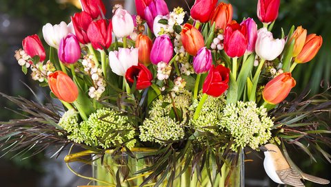 Обои букет, тюльпаны, тульпаны, bouquet, tulips разрешение 3000x2075 Загрузить