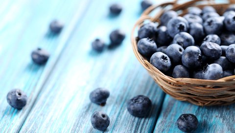 Обои ягоды, лесные ягоды, черника, парное, черничный, berries, blueberries, fresh, blueberry разрешение 5472x3648 Загрузить
