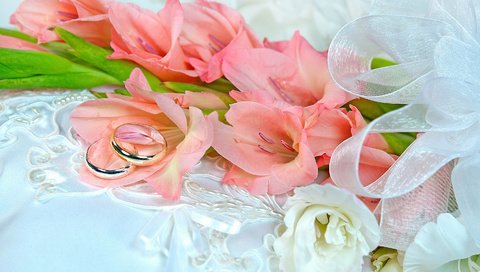 Обои цветы, кольцо, кольца, свадьба, гладиолусы, букеты, gladioluses, flowers, ring, wedding, gladiolus, bouquets разрешение 3000x2008 Загрузить