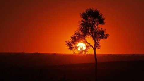 Обои небо, солнце, дерево, закат, силуэт, the sky, the sun, tree, sunset, silhouette разрешение 2048x1266 Загрузить