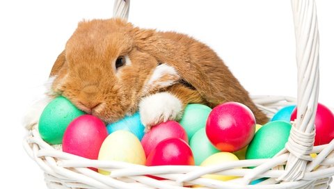 Обои корзина, кролик, пасха, яйца крашеные, basket, rabbit, easter, the painted eggs разрешение 5760x3840 Загрузить