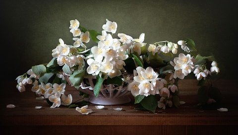 Обои цветы, лепестки, букет, жасмин, flowers, petals, bouquet, jasmine разрешение 2500x1606 Загрузить