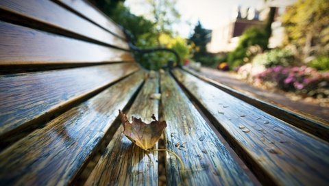 Обои макро, парк, капли, осень, лист, скамейка, macro, park, drops, autumn, sheet, bench разрешение 1930x1206 Загрузить