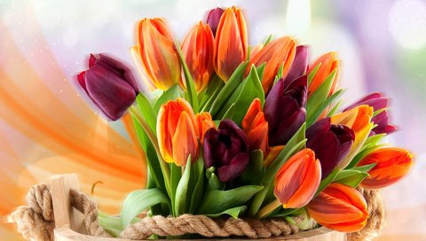 Обои цветы, бутоны, весна, букет, тюльпаны, боке, ведро, flowers, buds, spring, bouquet, tulips, bokeh, bucket разрешение 3543x2362 Загрузить