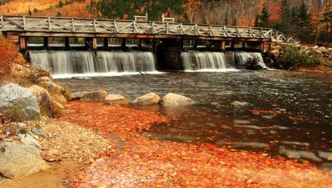 Обои деревья, река, мост, осень, поток, trees, river, bridge, autumn, stream разрешение 4752x3168 Загрузить