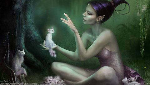 Обои лес, девушка, фея, кошки, эльф, эльфийка, эльфика, forest, girl, fairy, cats, elf, elfika разрешение 1920x1080 Загрузить