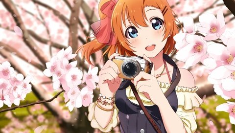 Обои улыбка, камера, love live, коусака гонока, sakura petals, smile, camera, kousaka honoka разрешение 2118x1500 Загрузить