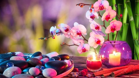 Обои цветы, свечи, камни, корица, бамбук, спа, орхидеи, flowers, candles, stones, cinnamon, bamboo, spa, orchids разрешение 2560x1600 Загрузить