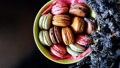 Обои лаванда, еда, тарелка, печенье, макарун, макаруны, lavender, food, plate, cookies, macaron, macaroon разрешение 2560x1677 Загрузить