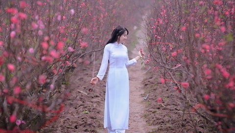 Обои цветение, девушка, сад, модель, весна, в белом, азиатка, flowering, girl, garden, model, spring, in white, asian разрешение 1920x1280 Загрузить