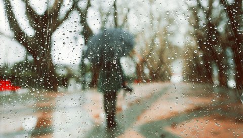 Обои деревья, девушка, капли, модель, дождь, зонт, rainy days, luis valadares, trees, girl, drops, model, rain, umbrella разрешение 1920x1280 Загрузить