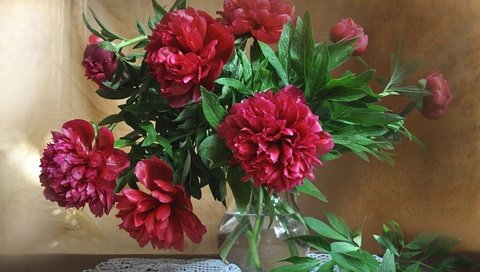 Обои цветы, листья, лепестки, букет, ваза, салфетка, пионы, flowers, leaves, petals, bouquet, vase, napkin, peonies разрешение 1920x1200 Загрузить