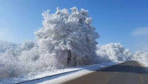 Обои небо, дорога, деревья, снег, природа, зима, кусты, иней, the sky, road, trees, snow, nature, winter, the bushes, frost разрешение 1920x1080 Загрузить