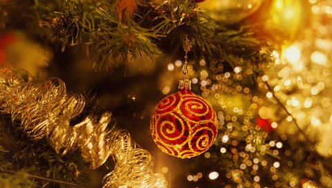 Обои новый год, елка, шар, рождество, елочные украшения, elena krauze, new year, tree, ball, christmas, christmas decorations разрешение 1920x1200 Загрузить