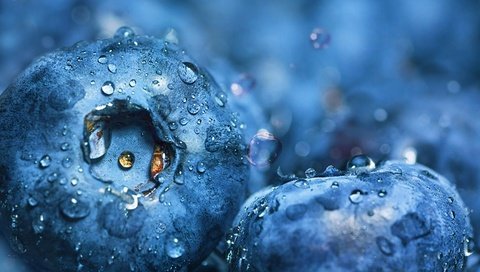 Обои вода, макро, капли, ягоды, черника, dashakern, water, macro, drops, berries, blueberries разрешение 4800x3020 Загрузить